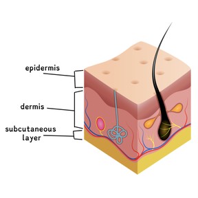 Your Skin