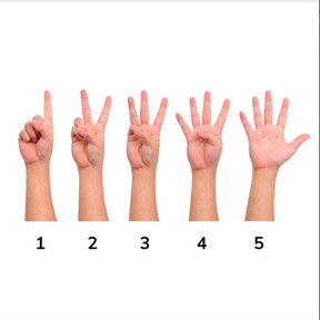 Counting on Hands