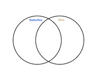 Understand comparisons
