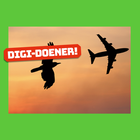 Digi-doener: Mimicry - Vliegen