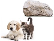 Living and nonliving things