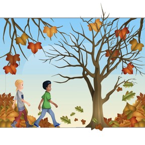Autumn Nature Walk