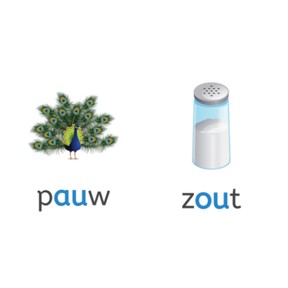 Woorden met ~au~ of ~ou~ II
