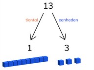 Structureren van getallen t/m 20