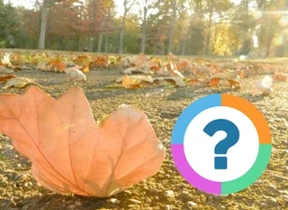 Quiz pour la classe: Saisons- Automne