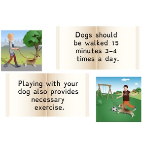 Refer to the informational text to answer questions