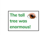Sensory words