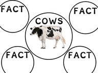 Writing facts for informative writing