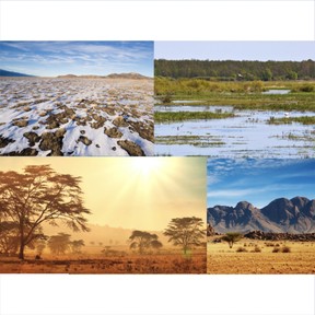 Types of habitats