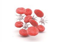 Introduction to cells