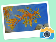 Foto van de dag: Flora & Fauna #010