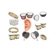 Exploring the world of sounds