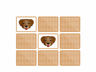 Memory: Animals