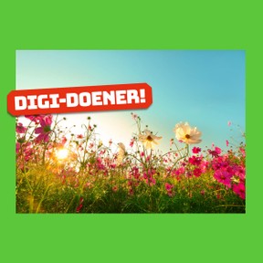 Digi-doener: Seizoensproducten