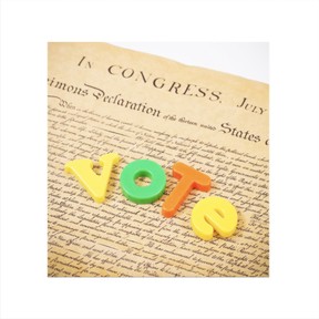 Elections and voting for adults