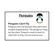 Text features: Headings