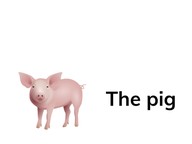 Features of a sentence: Capitalization
