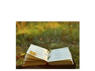 Past, present, and future verbs