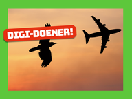 Digi-doener: Mimicry - Vliegen
