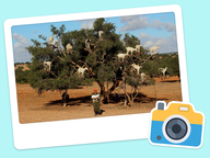 Foto van de dag: Wereldplekken #048