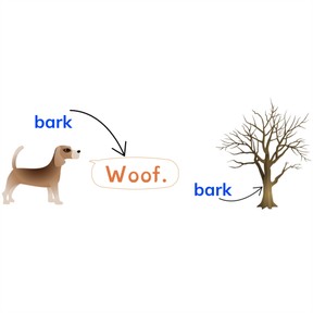 Multiple meaning words: bark, bat, play, sink