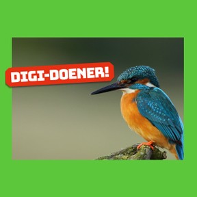 Digi-doener: Duurzaam design 5 | Spieken bij de natuur