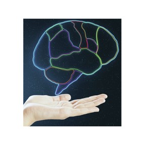Brain Breaks