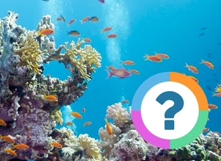 Quiz pour la classe: Animaux- Poissons