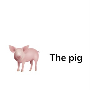 Features of a sentence: Capitalization