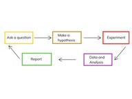 The scientific method