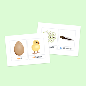 Woordkaarten (aanpasbaar): Thema Lente