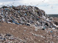 Pollution and waste management
