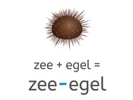 Samenstellingen met koppelteken