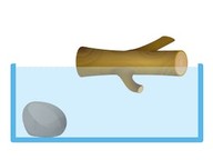 Schwimmen oder sinken