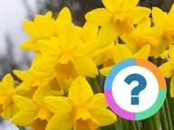 Quiz pour la classe: Anglais- Nature