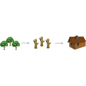 How people change their environment