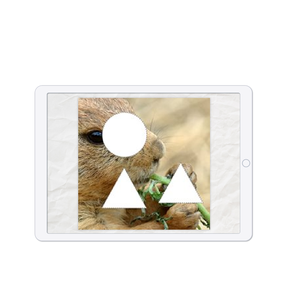 Vormpuzzels