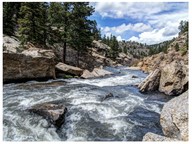 Water habitats