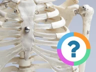 Klassenquiz: Woordenschat - Botten en spieren