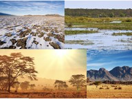 Types of habitats