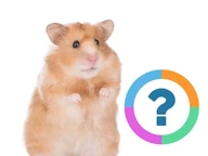 Klassenquiz: Englisch- Haustiere