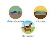 Aanwijzend voornaamwoord (begrip) 