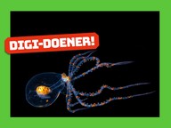 Digi-doener: Bijzondere dieren