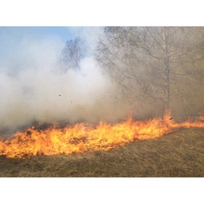 Wildfires