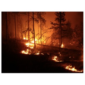 Wildfires