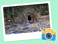 Foto van de dag: Flora & Fauna #011