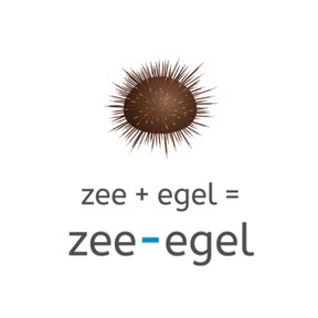 Samenstellingen met koppelteken