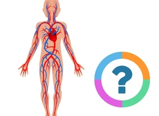 Quiz pour la classe: Nature- Le Corps Humain