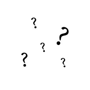 Refer to the story for answers: QAR strategy