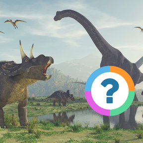 Klassenquiz: Dieren - Dinosaurussen